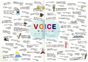 VOICE