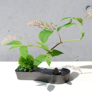 雫影　なでしこ