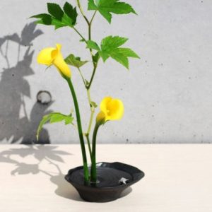 雫影　すいれん